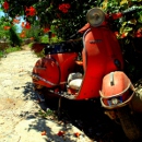 Avatar de l’utilisateur